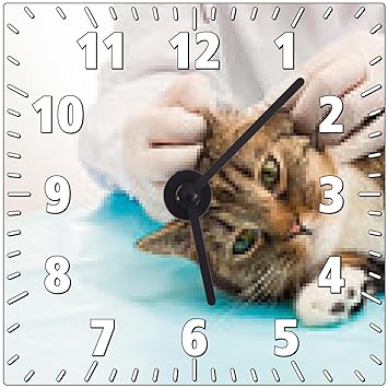 My Puzzle Design Wanduhr Tierarzt Bei Behandlung Milben In