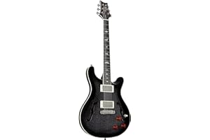 PRS Paul Reed Smith 6 String SE Hollowbody Standard Piezo Electric Guitar, Dog Hair Smokeburst, Right (111515::DH:)