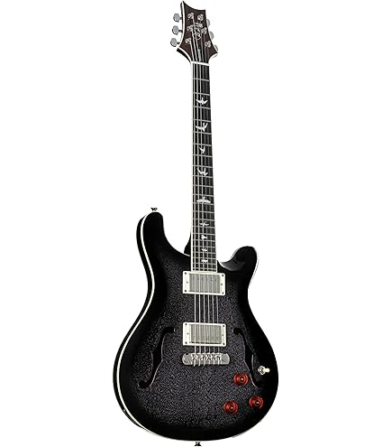 Amazon.com: PRS Paul Reed Smith 6 String SE Hollowbody II