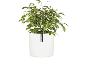 Fox & Fern Flower Pot, 10 Inch Plant Pots Indoor, White Planters for Indoor Plants - Fits Mid Century Modern Plant Stand - Drainage Plug- Polystone - Matte White - 10 Inch Planter