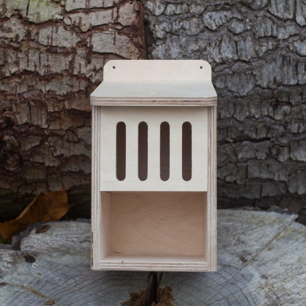 Nestbox Co Wooden Insect House and Bug Box DIY Self Assembly Kit