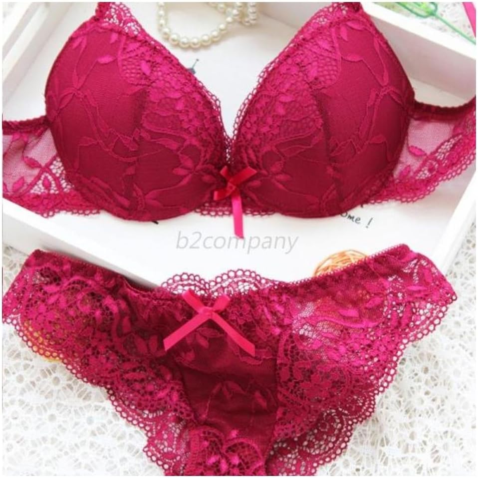 Sexy Women's Lace Floral Embroidery Underwear Push up Bra Sets 32/34/36 B B66