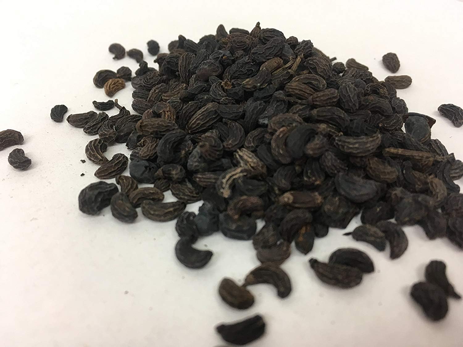 女貞子 | Glossy Privet Fruit