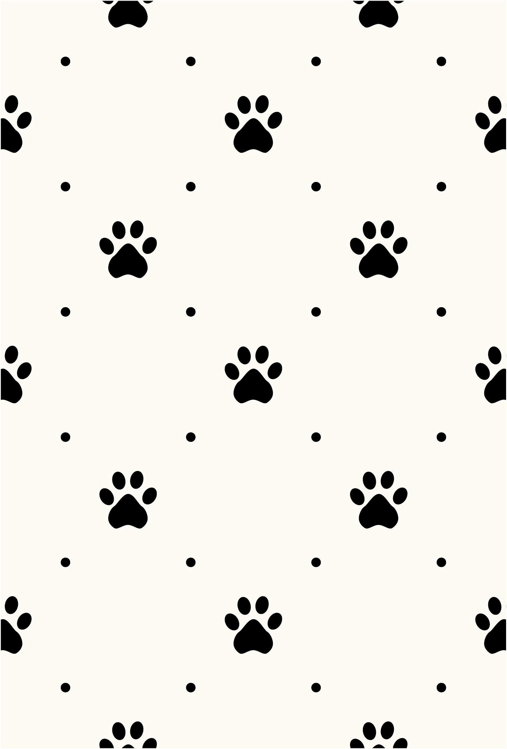 Rawpockets ' Paw ' Wall Poster(Paper Board,33 x 48 cm)
