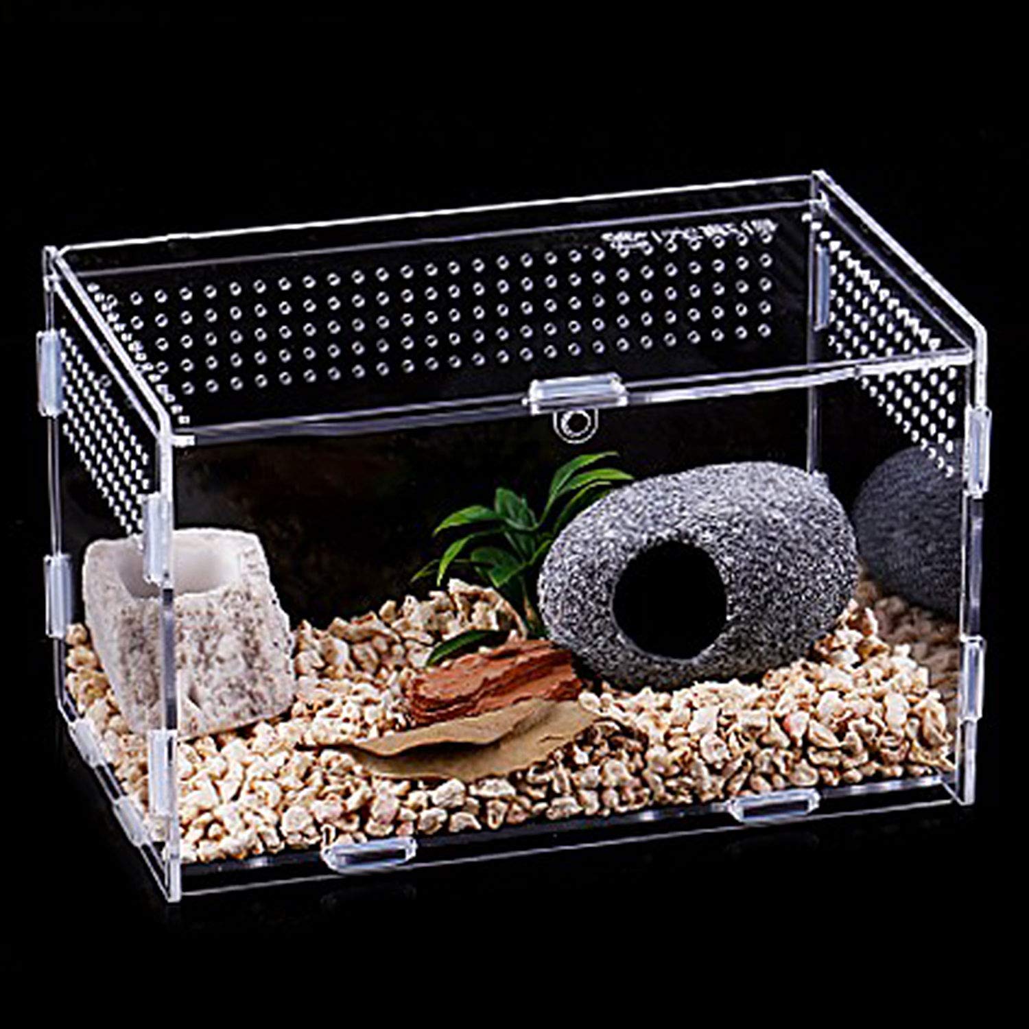 Urtone Insect Feeding Box, Transparent Acrylic Terrarium Containers for Spider Scorpion, Anti-escape Design, Clear Reptile Carrier Box
