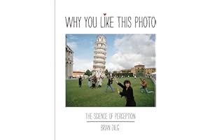 Why You Like This Photo: The science of perception