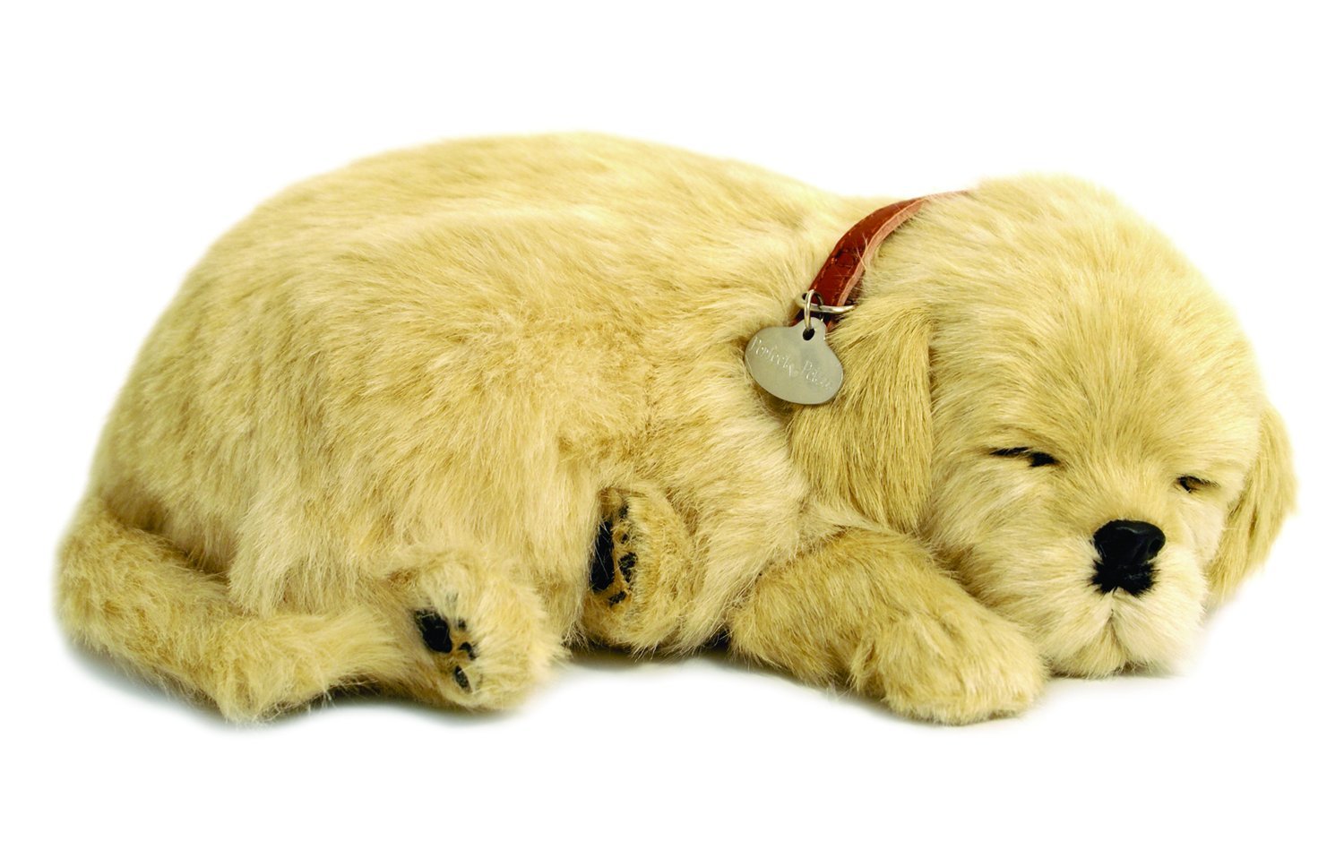 Toy Golden Retriever Wow Blog