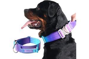 Spark Paws Tactical Dog Collar - Heavy Duty, Premium Quality, Thick and Durable for Large and Medium Dogs - 90's Retro - L