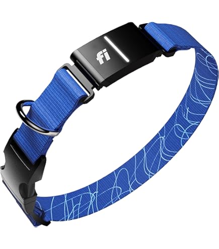 Amazon.com: Garmin T 5X Dog Device, Tracking and Training Dog