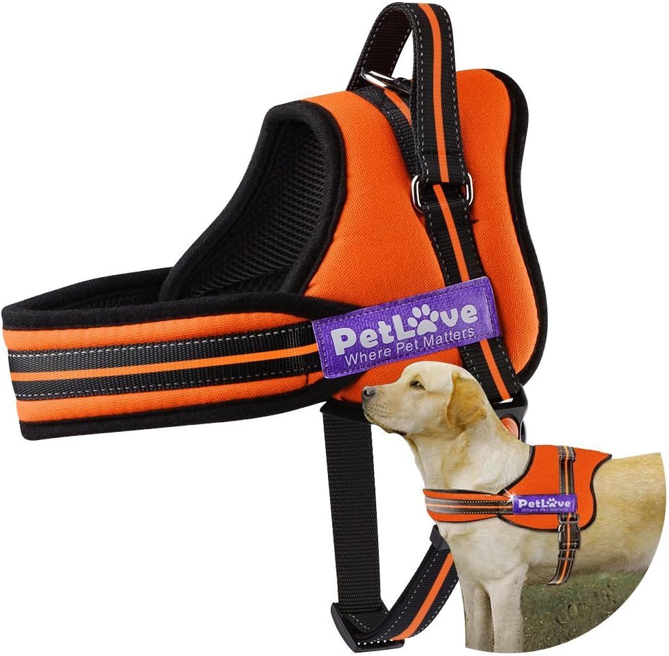Dog Harness, PetLove Soft Leash Paddled No Pull Dog Harness with All Kinds of Size (XXSmall