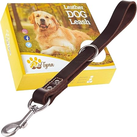 short leather leash