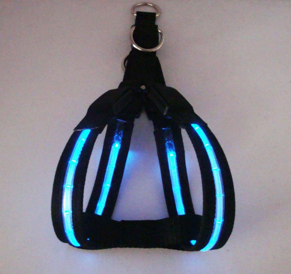 LED DOG HARNESS LIGHTS UP AT NIGHT BLUE Amazon.co.uk Pet Supplies