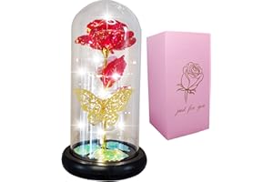 AUSAYE Valentine's Day Gifts for Her, Mom Women Gifts for Valentines Decorations Gold Butterfly Decor Beauty and The Beast Rose Flowers, Artificial Flower Rose Gift Romantic Galaxy Red Rose in Glass Dome