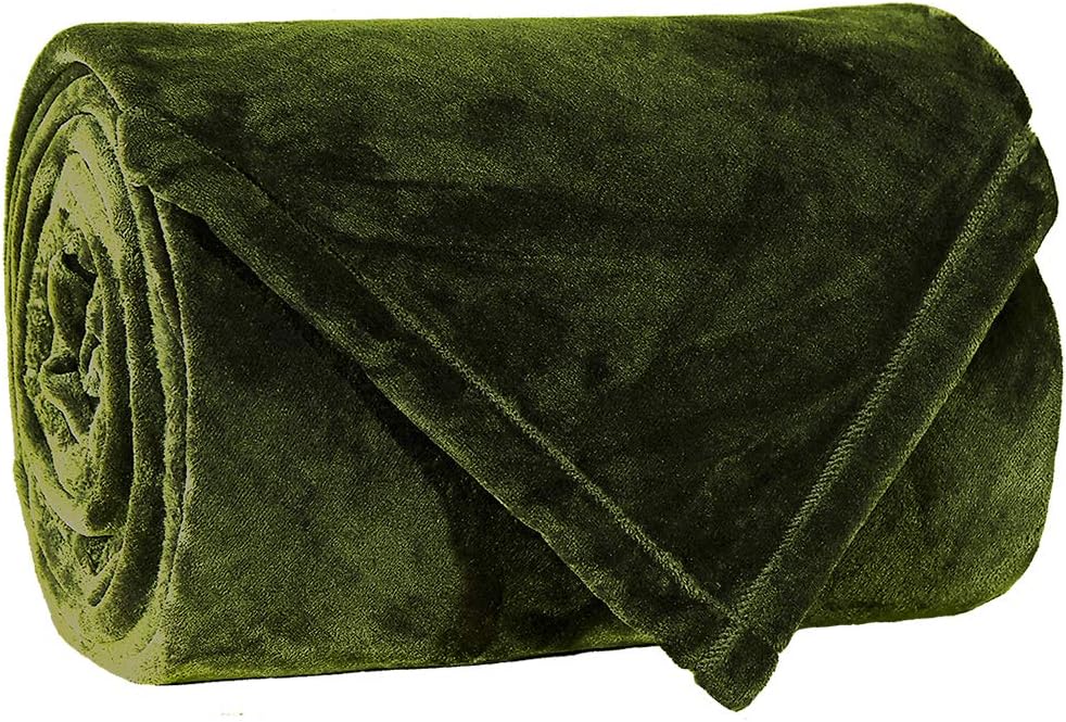 LBRO2M Fleece Bed Blanket Queen Size Super Soft Warm Fuzzy Velvet Plush Throw Lightweight Cozy Couch Twin/Queen/King Size ((90x90 Inch), Green)
