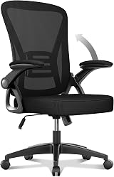 naspaluro Ergonomic Office Chair with 90° Flip-up Armrests, Lumbar Support
