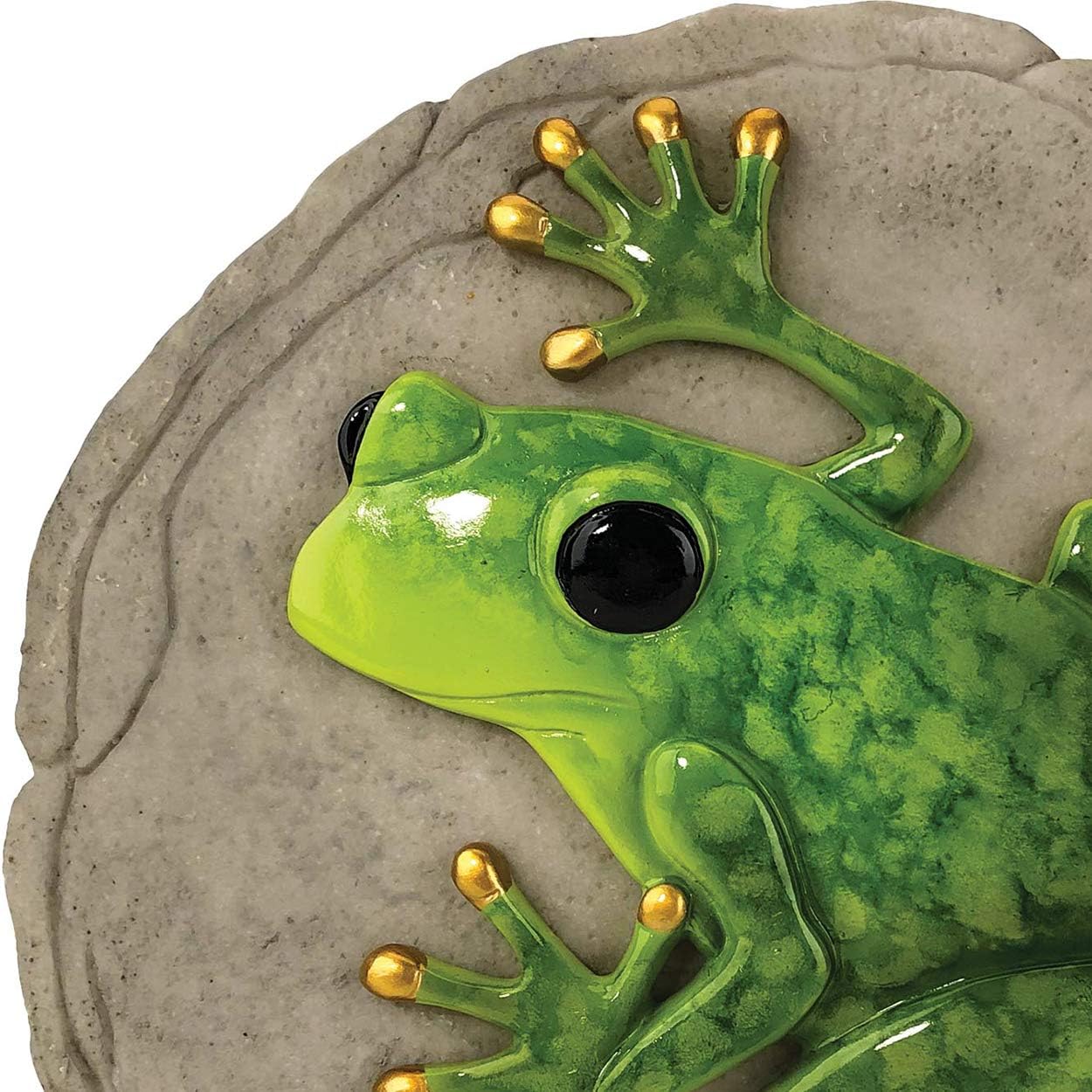 Spoontiques, Inc 13329 Raised Frog Stepping Stone, Green : Garden & Outdoor