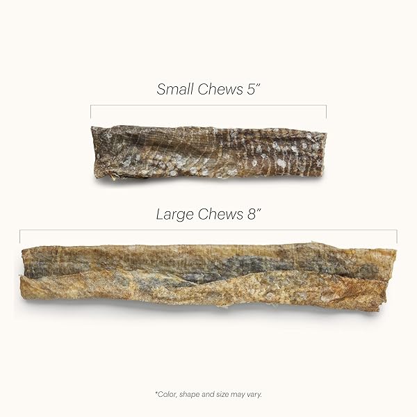 THE HONEST KITCHEN OCEAN CHEWS™ CRISPY COD FISH SKINS DOG TREATS, 2.75 OZ (BEAMS™)