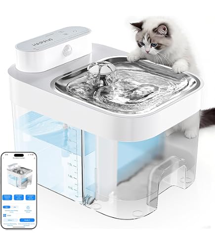 Amazon.com : HAPAW Cat Water Fountain, Wastewater Separation & No Filter  Cotton, Pet Water Dispenser with 101oz/3L Large Capacity Tank, Wireless  Automatic Water Fountains for Cats Indoor Cat Watering Supplies : Pet
