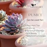 Growcery Volcanic Pumice 3–8 mm Dust-Free 1L for Plants Bonsai Soil Mixes view 2