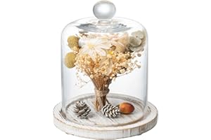 MyGift 7.5 Inch Small Clear Glass Cloche Dome with Shabby White Washed Weathered Solid Wood Tray for Dessert, Cheese and Merc