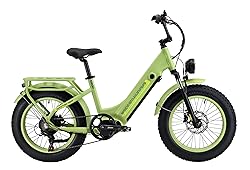 Electric Bike for Adults,1000w (Peak 1500) Ebike