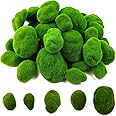 TIHOOD 50 PCS 5 Size Artificial Moss Rocks Decorative, Green Moss Balls,Moss Stones, Green Moss Covered Stones, Fake Moss Decor for Floral Arrangements, Fairy Gardens and Crafting