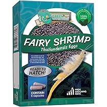 Triops Red Longicaudatus Eggs - GreenWaterFarm