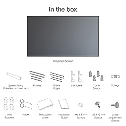 Epson SilverFlex Ultra 120-Inch Ambient Light