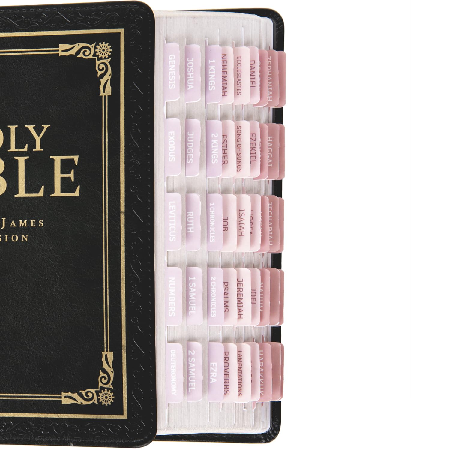 Bible Tabs for Study Bible, v2croft Laminated Bible Tabs for Old and New Testament, Men and Women Bible Study Supplies, 75 Bible Index Tabs, Bible Book Tabs (Style 3)