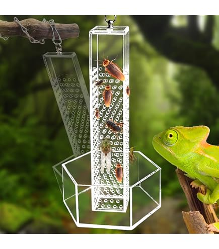 Bol Alimentaire Pour Reptiles - Mangeoire Escaladable Pour Caméléons, Geckos, Dragons Barbus - 5