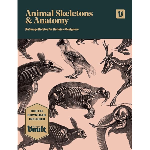 Animal Anatomy for Artists: The Elements of Form - Kindle edition