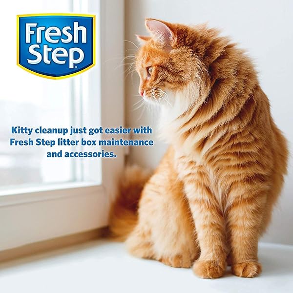 FRESH STEP CAT LITTER CRYSTALS DEODORIZER, NON TOXIC ODOR NEUTRALIZING CRYSTALS FOR LITTER BOXES THAT HELP CONTROL SMELLS AND KEEP HOME AREAS FRESH, FRESH SCENT, 15 OUNCE