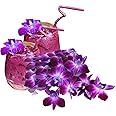 PURPLE Fresh Orchid Loose Bloom Flower Orchid Club USA Sunny Tropical Lei, Food & Drink Decoration (50 Lavender Mauve)