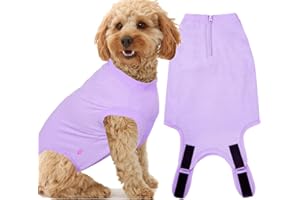 Wabdhaly Dog Surgery Recovery Suit for Small Female Spay,Anti Licking Dog Surgical Recovery Onesie,Fashion Striped Purple S
