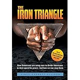 The Iron Triangle: Inside the Liberal Democrat Plan to Use Race to Divide Christians and America in their Quest for Power and