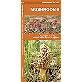 Mushrooms: A Folding Pocket Guide to Familiar North American Species (Wildlife and Nature Identification)