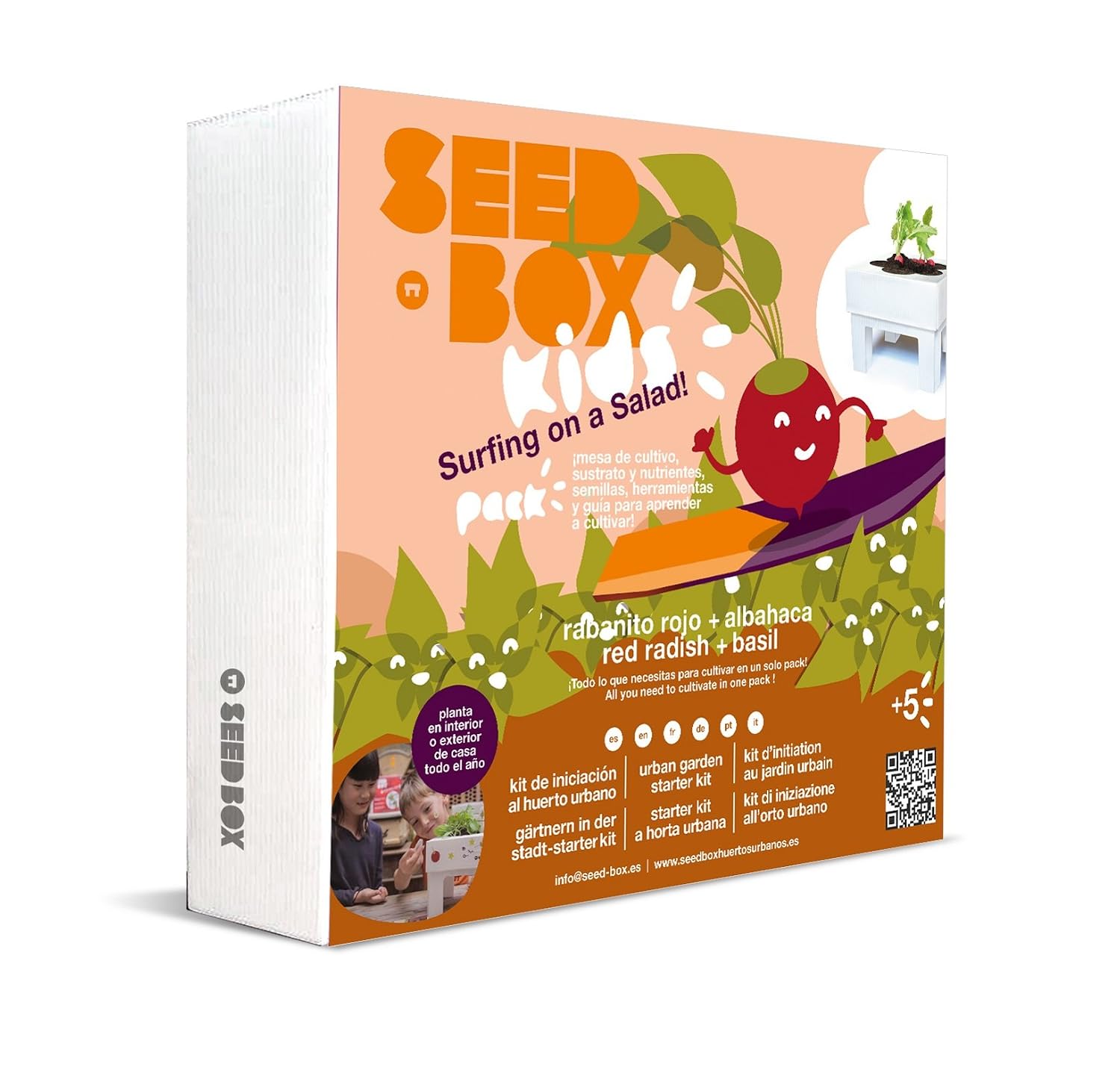 Seedbox Seed Box SBKSS - Salad, Verde, 19x6x19 cm: Amazon.es: Jardín