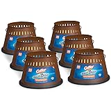 Cutter Citro Guard Candle, Triple Wick, 20-Ounce, 6-Pack