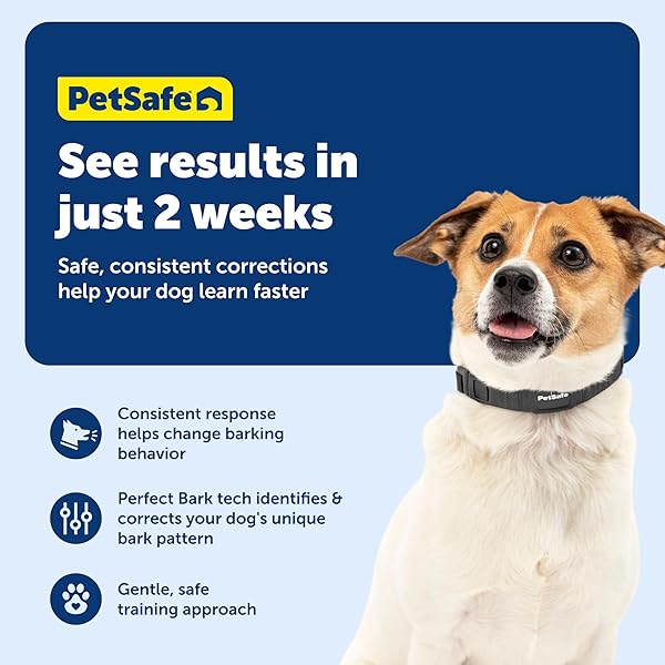 PETSAFE NANOBARK COLLAR – WORLD’S SMALLEST BARK COLLAR FOR SMALL AND MEDIUM DOGS, 10 LEVELS OF STATIC STIMULATION, WATERPROOF AND RECHARGEABLE ANTI-BARK TRAINING, COMFORTABLE AND LOW-PROFILE DESIGN
