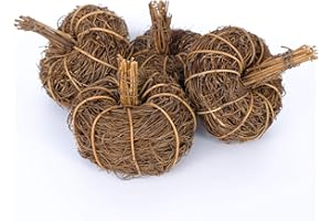 CIR OASES 4pcs Artificial Pumpkins Mini Pumpkins Decorative Grapevine Pumpkins for Bowl or Vase Display Festival Home Kitchen Halloween Thanksgiving Fall Harvest Home Decoration