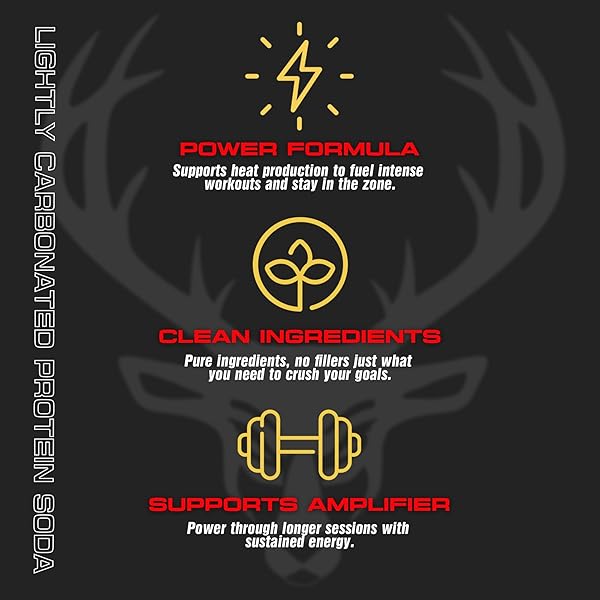 BUCKED UP LIGHTLY CARBONATED PROTEIN SODA | 25G WHEY ISOLATE – ZERO SUGAR, LOW CALORIE, CAFFEINE FREE, CLEAN DRINK | SPARKLING PROTEIN SODA – 12 PACK, 16 OZ CANS (PEACH MANGO)