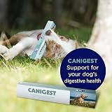 TRM CANIGEST Probiotic Paste 30ml for Cats Dogs - Easy Digestive Support view 7