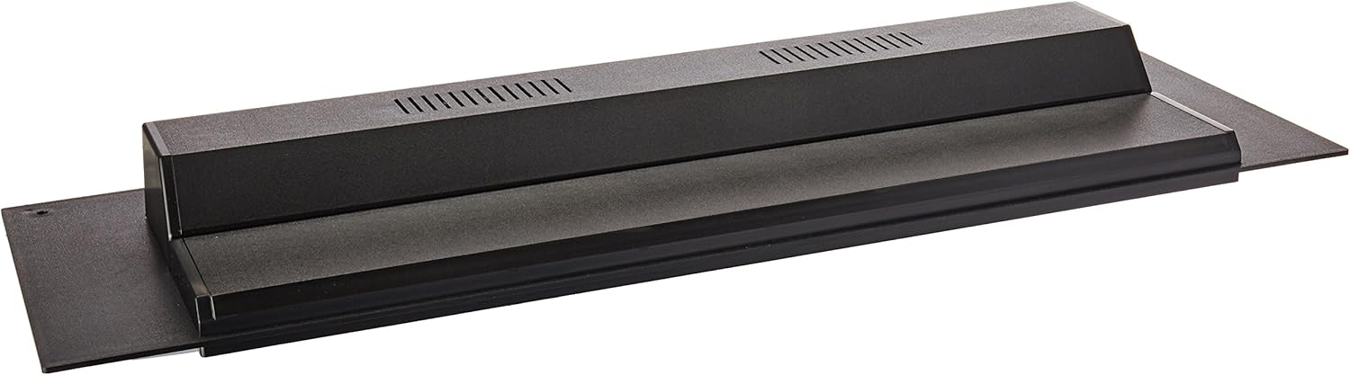 betta fish feeding on vacation