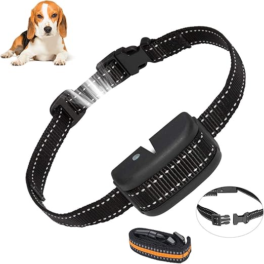 no shock dog collar