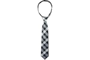 Spring Notion Boys' Pre-tied Woven Zipper Tie