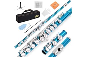 Eastar C Flutes Closed Hole 16 Keys Flute for Beginner Kids Student Flute Instrument with Fingering Chart, Cleaning Kit, Stan