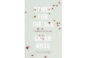 Names for the Sea: Strangers in Iceland