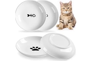 Kitwinney Cat Bowls, Ceramic Cat Food Bowl Set with Silicone Ring for Non Slip, Cute Cats Dishes and Plates for Feeding Indoor Cats, Kitten, Small Dogs (White-4 Pack, 6 Inches)
