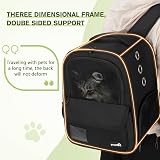 Pecute Cat Carrier Rucksack Pet Carry Bag for Dogs Cats Rabbits 42x32x30cm Black view 4