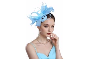 Litter Star Kentucky Derby Hat for Women 2025 Fascinators Hat Elegant Mesh Feather Headband with Clip Tea Party Hats